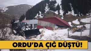 Ordu Yaylalarında Çığ: Ev Ağır Hasar Gördü