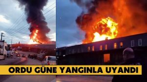 Ordu’da Toptancılar Sitesi’nde Büyük Yangın