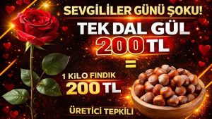 Sevgililer Günü’nde Tek Dal Gül 200 TL’yi Bulacak