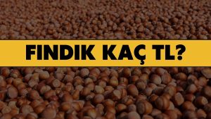 ORDU FINDIK FİYATLARI (26 Şubat 2026)