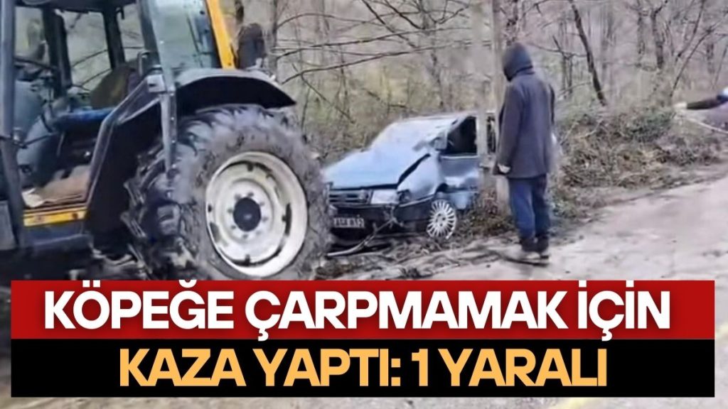 KÖPEKTEN KAÇMAK İSTERKEN YOLDAN ÇIKTI: 1 YARALI