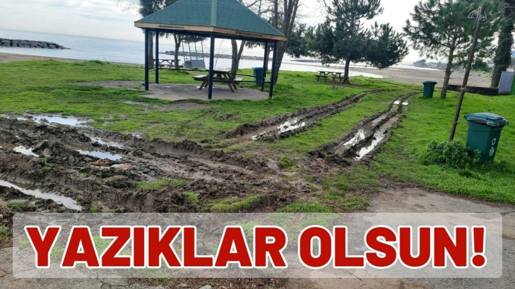 Bunu Yapan İnsan mı? Yazıklar Olsun!