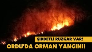 ORDU’NUN İLÇESİNDE BÜYÜK YANGIN: ALEVLER YÜKSELİYOR, RÜZGAR ETKİLİ