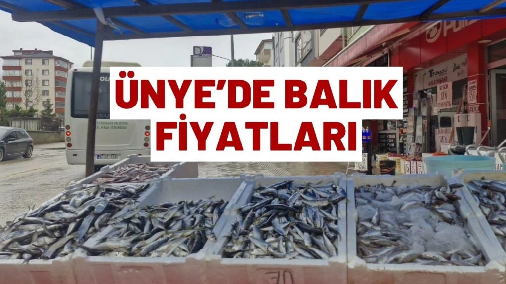 Ünye’de Balık Tezgahları Durgun: 17 Mart Balık Fiyatları Ne Durumda?
