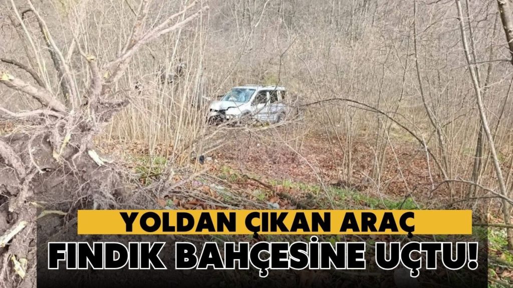 Korgan’da Hafif Ticari Araç Fındık Bahçesine Devrildi