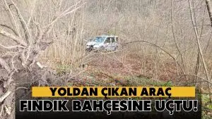 Korgan’da Hafif Ticari Araç Fındık Bahçesine Devrildi