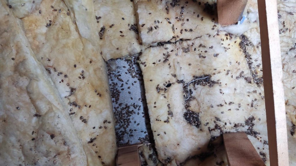 657440787 3241185092717986 5482695345770817685 n