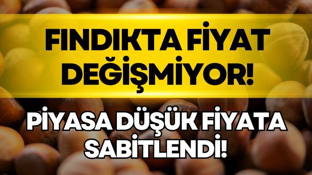 Ordu’da Fındık Fiyatı 10 Mart Salı