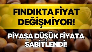 Ordu’da Fındık Fiyatı 10 Mart Salı