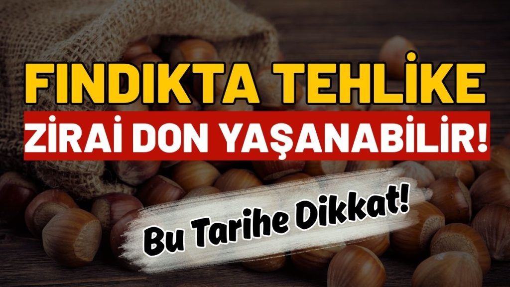 Tarih Verildi, Uyarı Yapıldı! Fındıkta Zirai Don Yaşanabilir!
