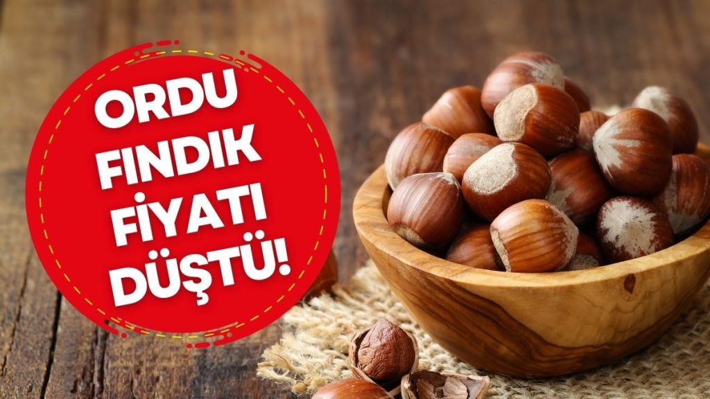 ORDU’DA FINDIK FİYATI KAÇ TL? 18 MART 2026