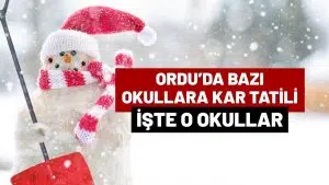 Ordu’da 3 Mart 2026 Kar Tatili Edilen Okullar Açıklandı!