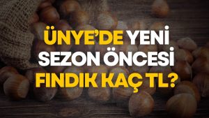 Ünye’de Fındık Piyasasında Düşüş Sürüyor: Rekor Fiyatlardan Sonra Yeni Sezona 180 TL Bandında Giriliyor
