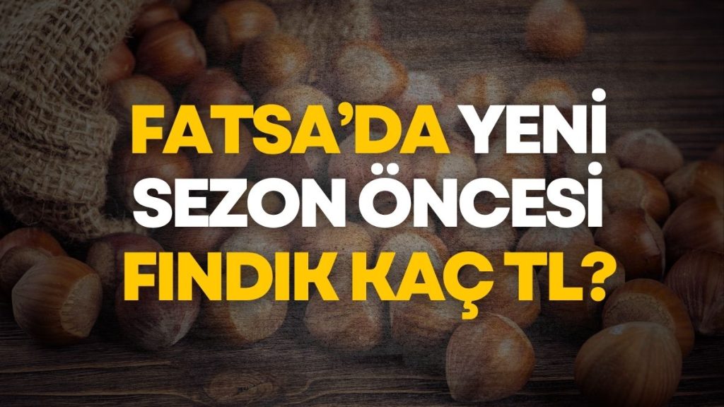 Fatsa Serbest Piyasasında Son Durum: Fındık Fiyatları Kaç TL?