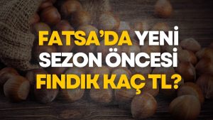 Fatsa Serbest Piyasasında Son Durum: Fındık Fiyatları Kaç TL?