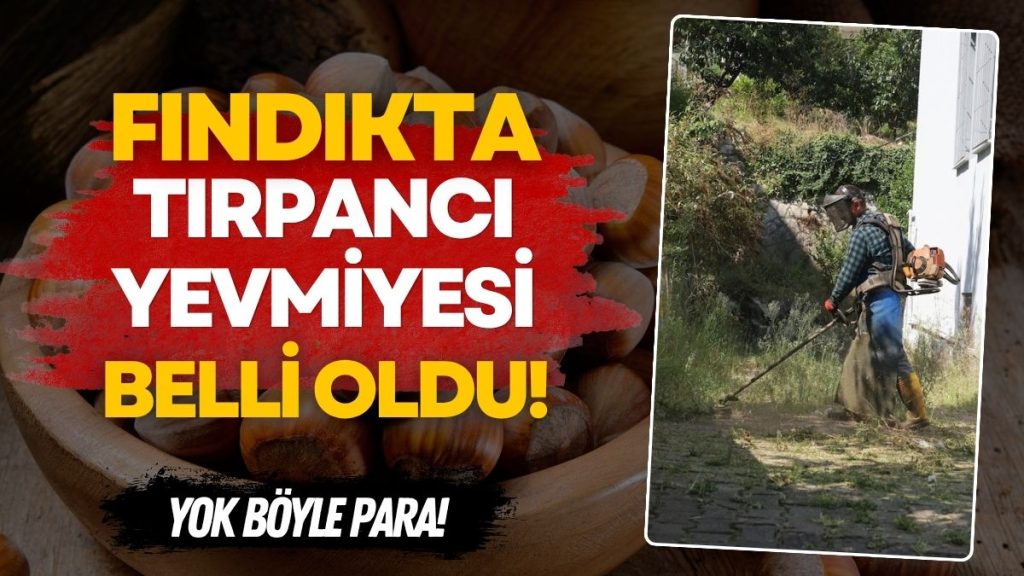 Üreticiye Tırpancı Şoku: Fındık Yerinde Sayıyor, Tırpancı Aya Çıkıyor!