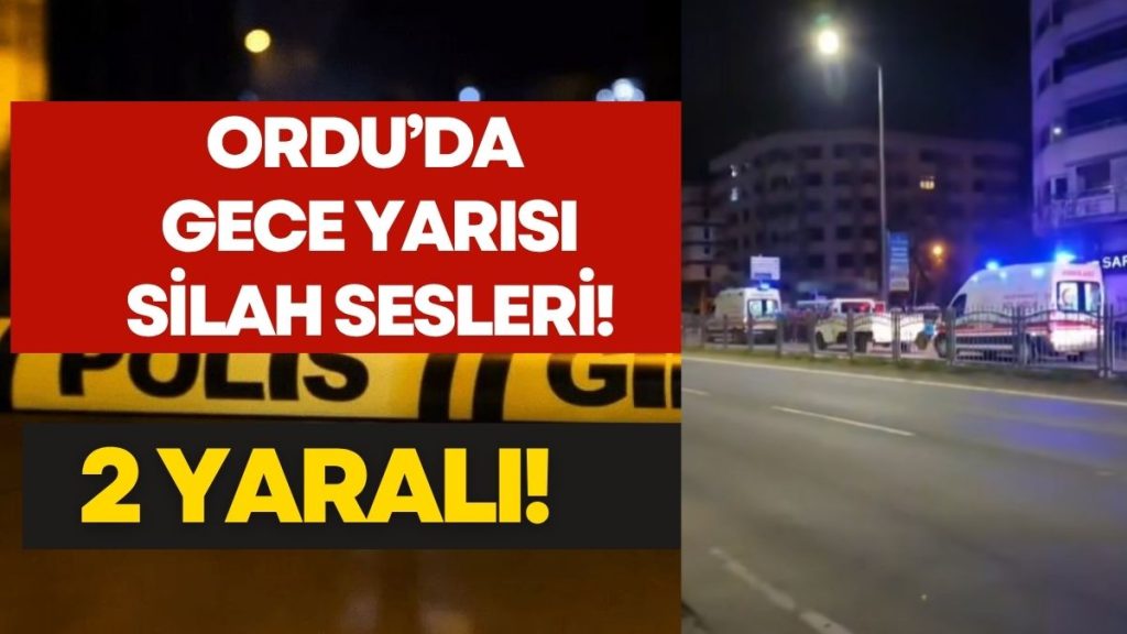 Ordu’da Gece Yarısı Dehşeti: Sahilde Silahlı Kavga (2 Yaralı)