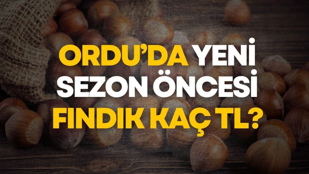 Ordu Serbest Piyasasında Fındık Kaç TL? İşte Randıman Randıman Güncel Fiyatlar