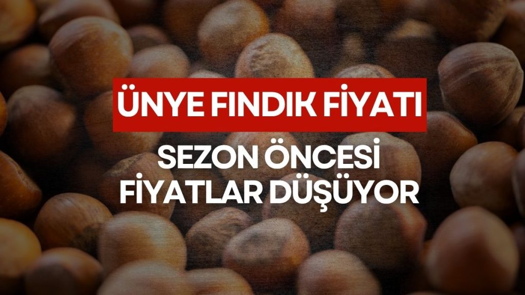 Ünye’de Fındık Fiyatlarında Büyük Düşüş: 24 Nisan 2026 Güncel Fiyatlar