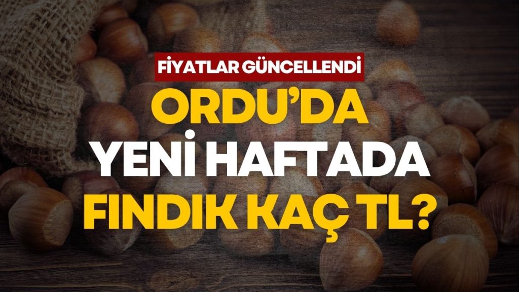 Ordu Serbest Piyasasında Güncel Fındık Fiyatları Belli Oldu (4 Mayıs 2026)