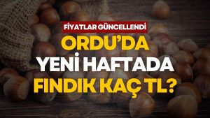 Ordu Serbest Piyasasında Güncel Fındık Fiyatları Belli Oldu (4 Mayıs 2026)