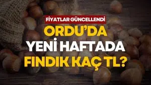 Ordu Serbest Piyasasında Güncel Fındık Fiyatları Belli Oldu (4 Mayıs 2026)