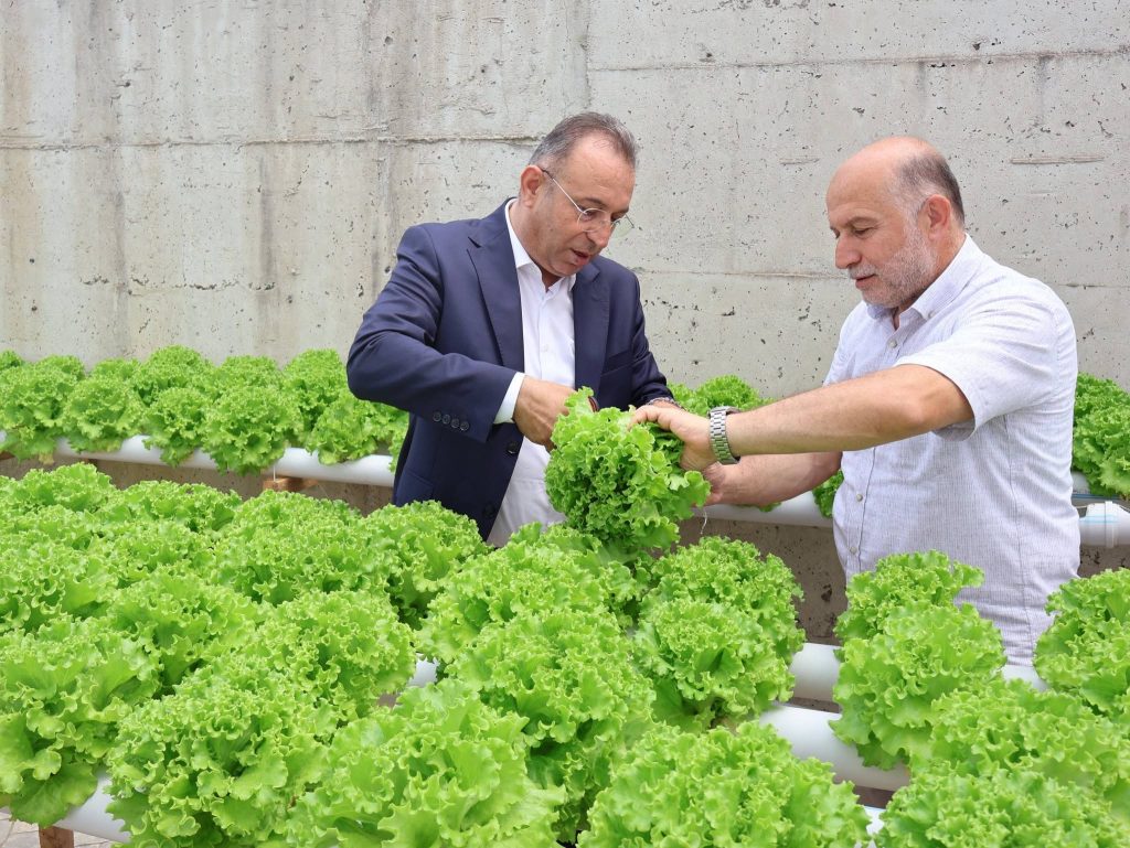 Şehit Harun Ateş Özel Eğitim Meslek Okulu'nda Topraksız Tarım Uygulaması İlgi Görüyor 1 tarim3