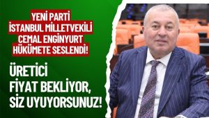 Yeni Parti Milletvekili Enginyurt’tan İktidara Fındık Fiyatı Çağrısı!