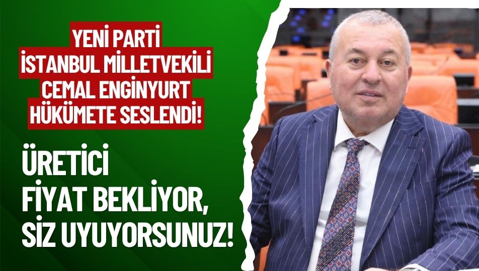 Yeni Parti Milletvekili Enginyurt’tan İktidara Fındık Fiyatı Çağrısı!