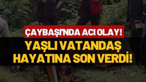 Çaybaşı’nda Acı Olay: Yaşlı Vatandaş Köprüden Atlayarak Yaşamına Son Verdi