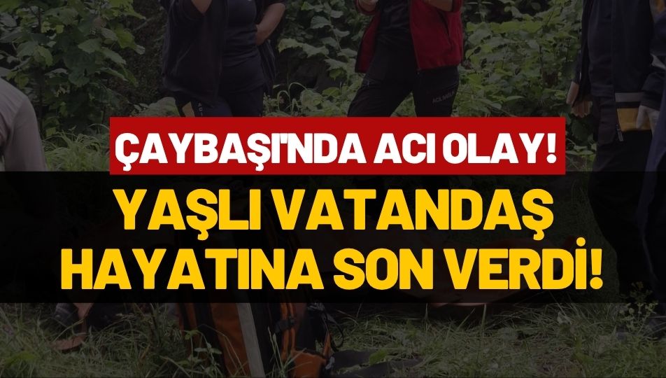 Çaybaşı’nda Acı Olay: Yaşlı Vatandaş Köprüden Atlayarak Yaşamına Son Verdi