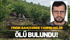 Fındık Bahçesinde Yanmış Ceset Bulundu