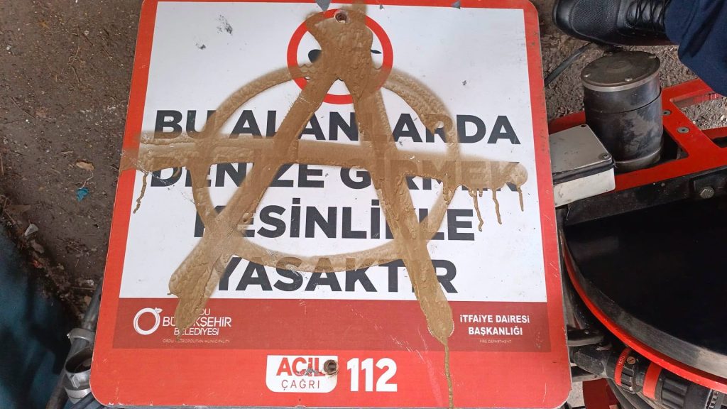 ŞEHİR MAGANDALARI ŞİMDİ DE ÜNYE'DE İŞ BAŞINDA! 1 maganda4