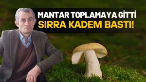 Ünye’de Mantar Toplamaya Giden Vatandaş Kayıp! Ekipler Seferber Oldu