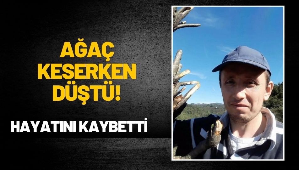 Ordu’da Acı Olay: Ağaç Keserken Düşen Vatandaş Hayatını Kaybetti