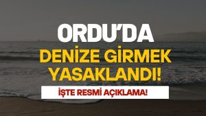 Ordu’da Alarm: Denize Girmek Yasaklandı!