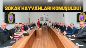 Nüfusu 25 Bini Geçen İlçelerde Sokak Hayvanlarına Bakımevi Yapılacak!