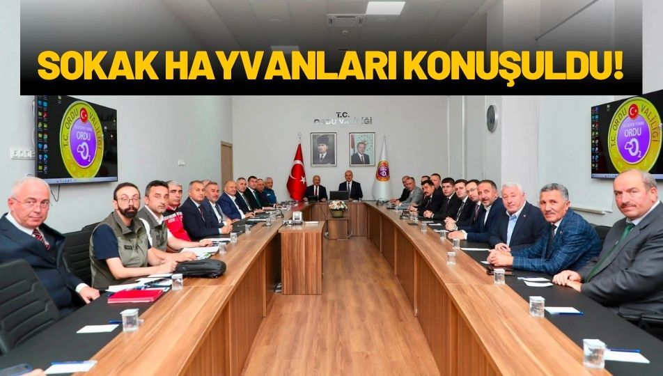 Nüfusu 25 Bini Geçen İlçelerde Sokak Hayvanlarına Bakımevi Yapılacak!