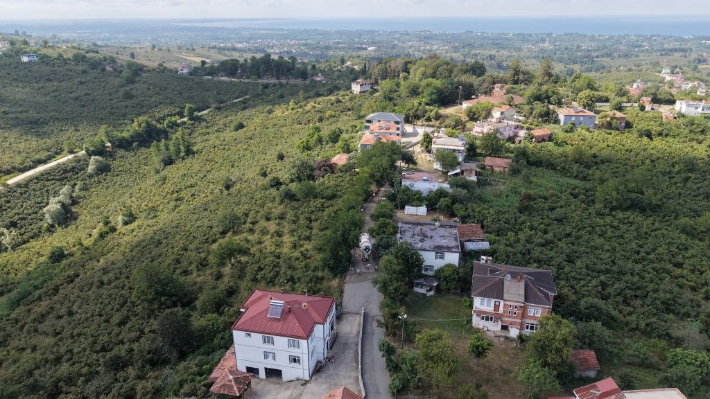 terme56444