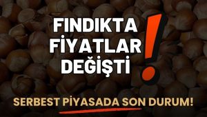 4 Ağustos Fındık Fiyatları: Serbest Piyasada Düşüş Sürüyor!