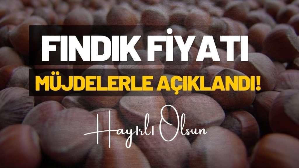 TMO 2026 Fındık Alım Fiyatını Açıkladı: Üreticinin Beklentisi Karşılanmadı