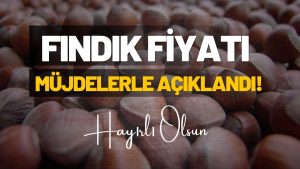 TMO 2026 Fındık Alım Fiyatını Açıkladı: Üreticinin Beklentisi Karşılanmadı