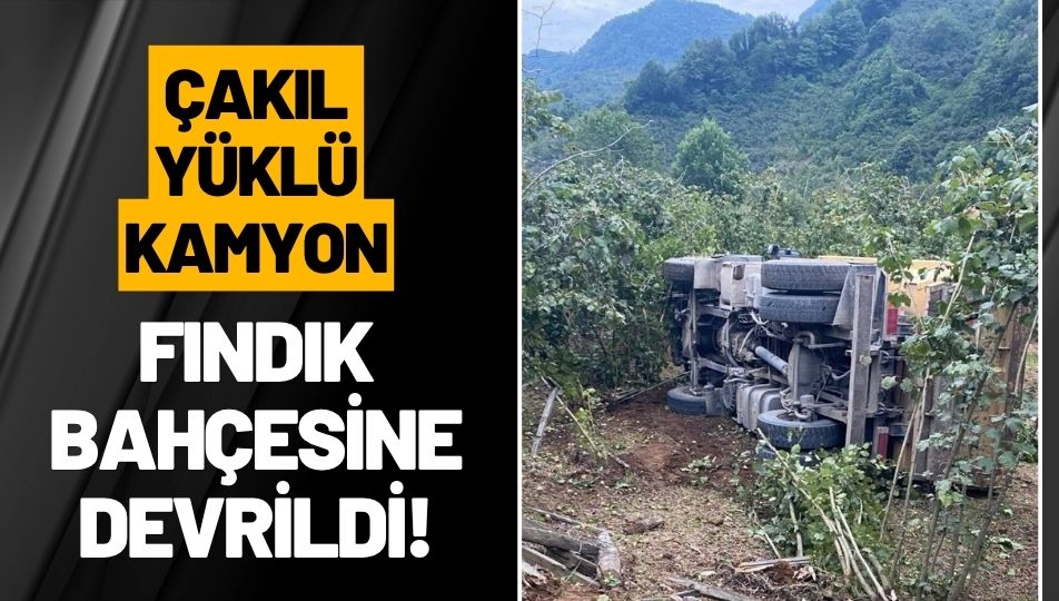 Ünye’de Çakıl Yüklü Kamyon Fındık Bahçesine Devrildi: 2 Yaralı