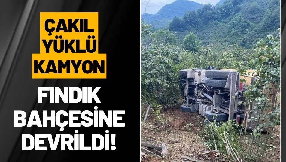 Ünye’de Çakıl Yüklü Kamyon Fındık Bahçesine Devrildi: 2 Yaralı