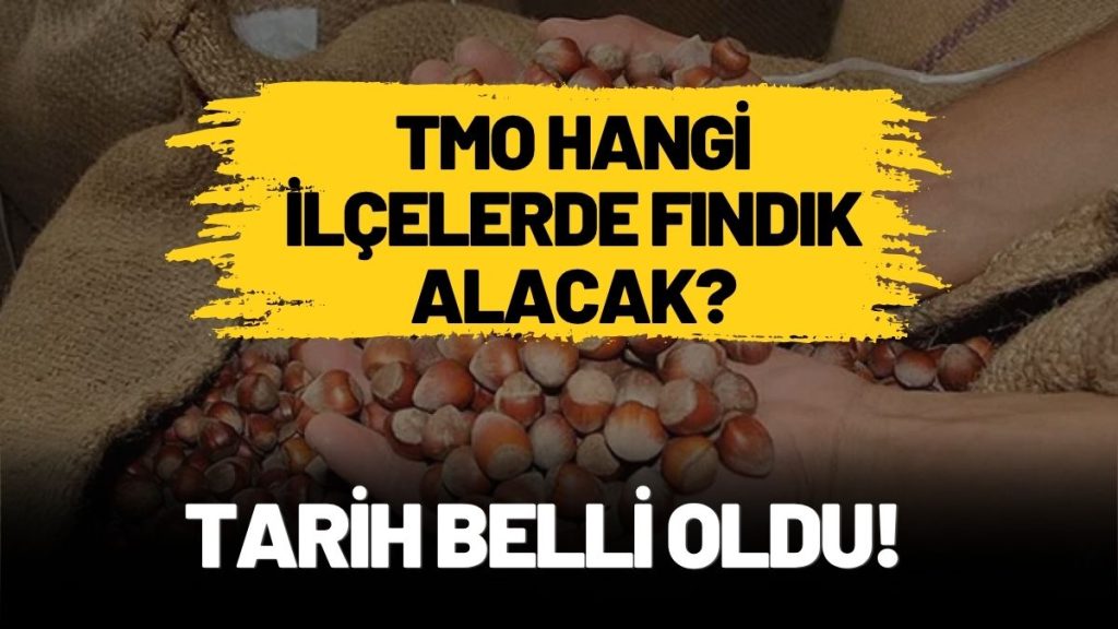 TMO Ordu’da 13 İlçede 19 Noktada Fındık Alımı Yapacak