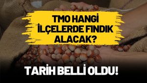 TMO Ordu’da 13 İlçede 19 Noktada Fındık Alımı Yapacak