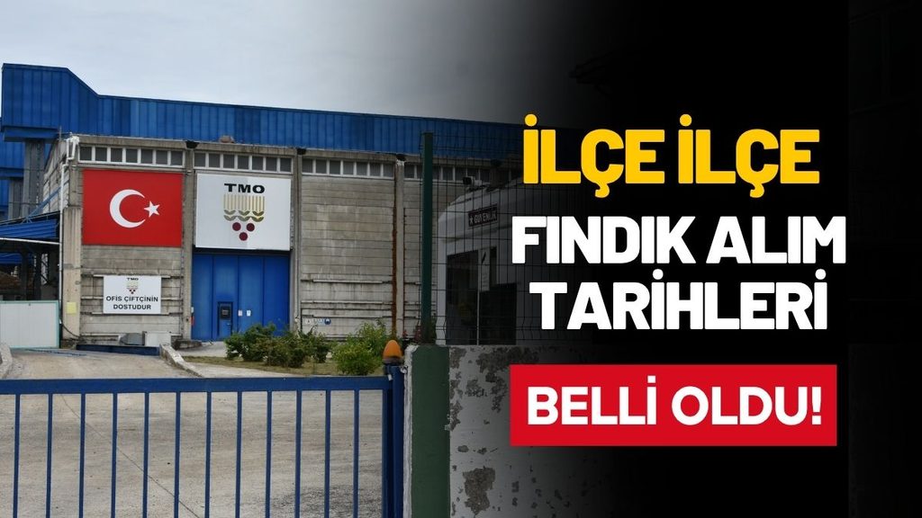 TMO Ordu’da 9 İlçede Daha Fındık Alımına Başlıyor