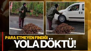 Fındık Fiyatı Protestosu: Para Etmeyince Yola Döktü