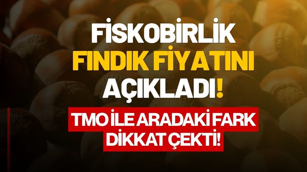 Fiskobirlik Fındık Alım Fiyatını Açıkladı: TMO ile Arada Fark Var!