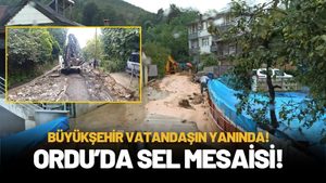 Ordu Büyükşehir Ekipleri Yağış Nedeniyle Kapanan Yolları Açıyor